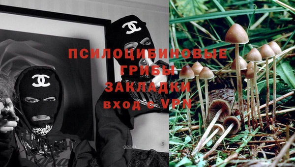 гидра Верея