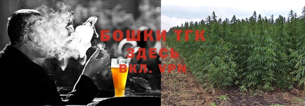 гидра Верея