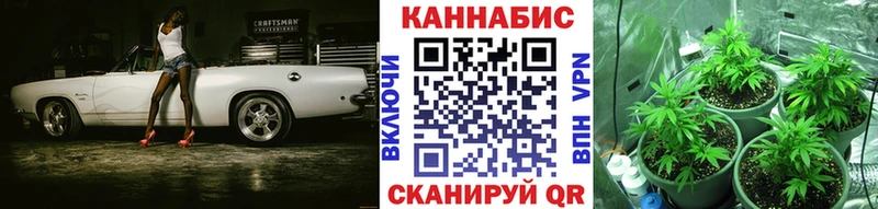 Каннабис ГИДРОПОН  Купить  Вязники 
